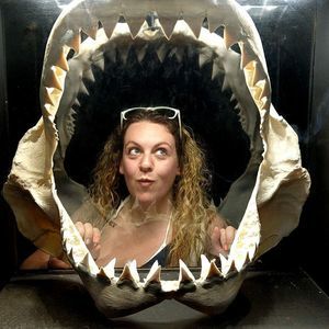 Meet your Posher, Taylor